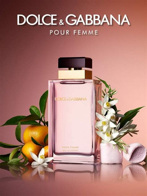 parfum dolce gabbana pour femme nocibe|Dolce & Gabbana — Wikipédia.